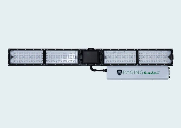 Raging Kale 2.0 Scynce LED Light