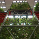 Scynce Led Light Grow Kush Multi Level